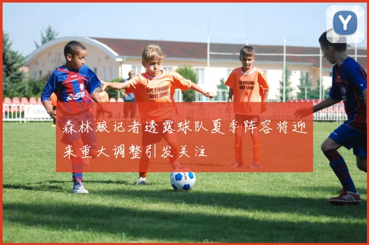 森林狼记者透露球队夏季阵容将迎来重大调整引发关注